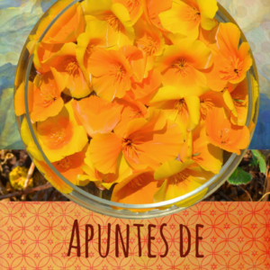 Apuntes de terapia floral